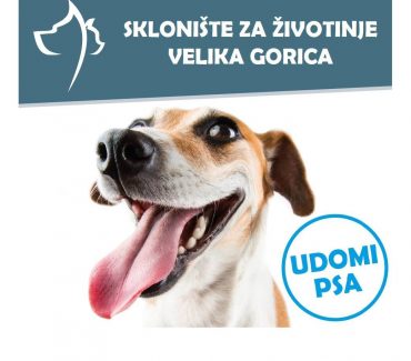 Veterinarski fakultet donirao hranu za životinje