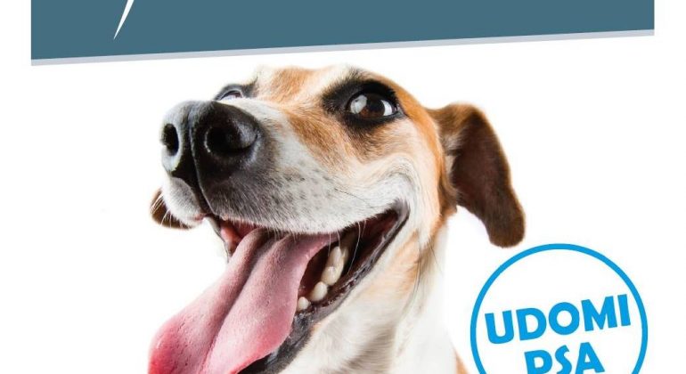 Veterinarski fakultet donirao hranu za životinje Veterinarski fakultet donirao hranu za životinje