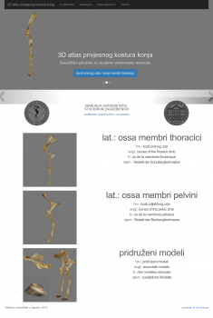 3D atlas privjesnog kostura konja