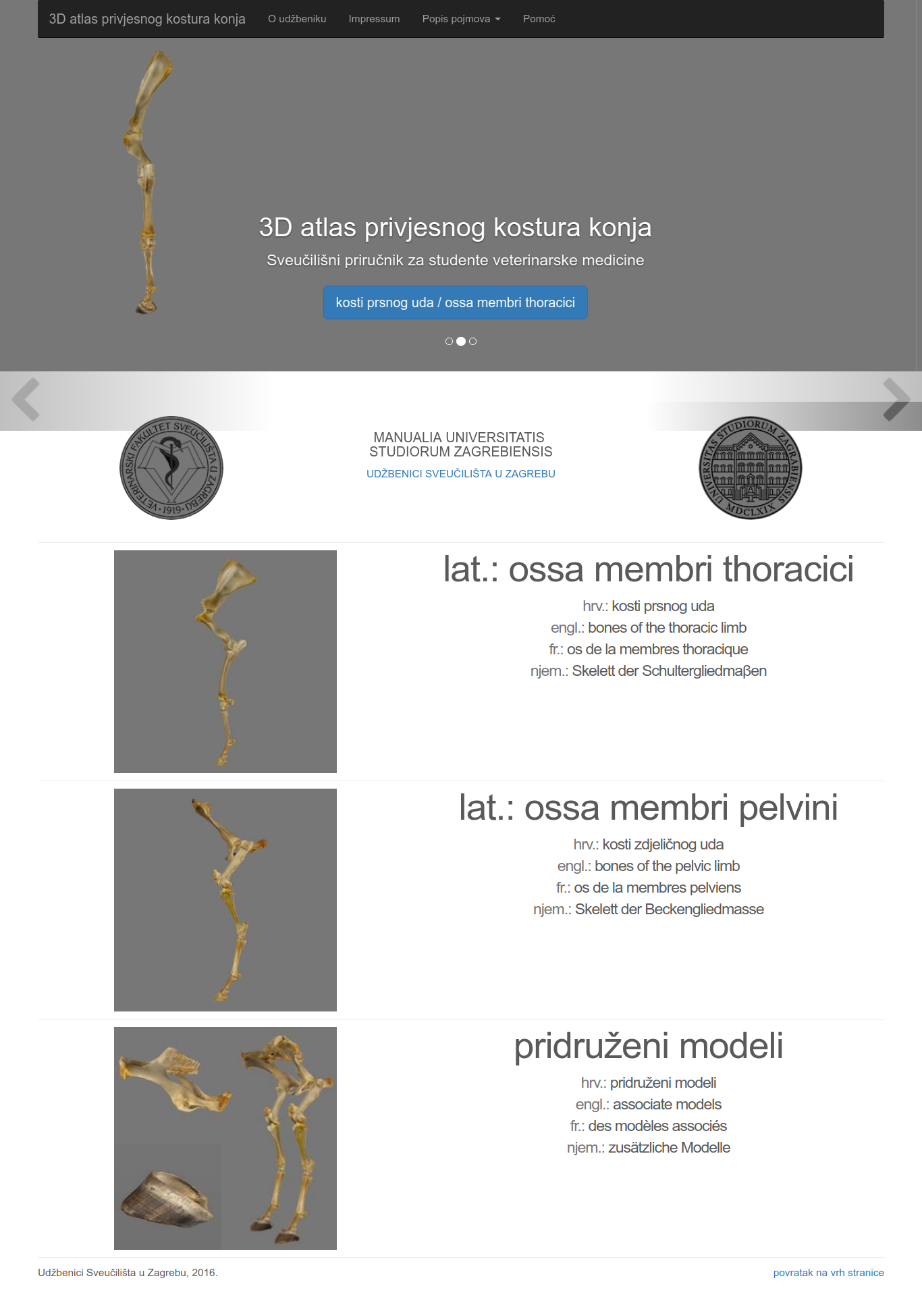 3D atlas privjesnog kostura konja