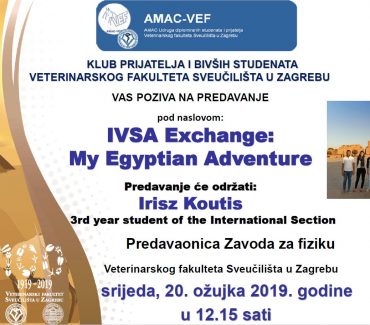 IVSA Exchange: My Egyptian Adventure