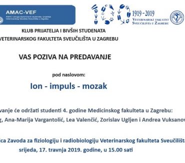 Ion – impuls – mozak