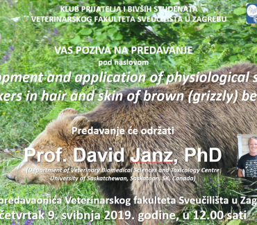 Development and application of physiological stress markers in hair and skin of brown (grizzly) bears