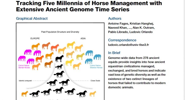 Fages et al. (2019): Tracking Five Millennia of Horse Management with Extensive Ancient Genome Time Series. Cell