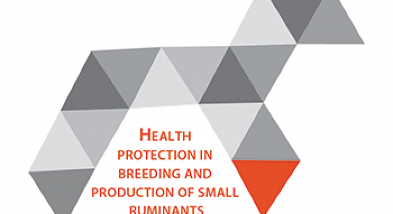 Health Protection in Breeding and Production of Small Ruminants