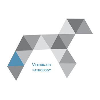 Veterinary Pathology Veterinary Pathology
