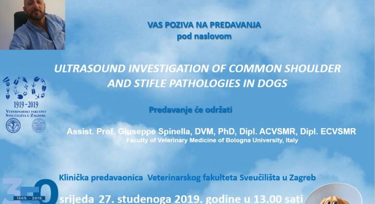 PREDAVANJE: Ultrasound investigation of common shoulder and stifle pathologies in dogs PREDAVANJE: Ultrasound investigation of common shoulder and stifle pathologies in dogs