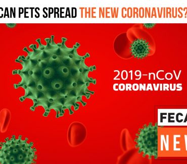Kućni ljubimci i koronavirus