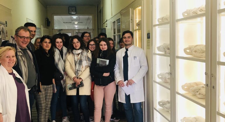 Posjet francuskih učenika Veterinarskome fakultetu u Zagrebu Posjet francuskih učenika Veterinarskome fakultetu u Zagrebu