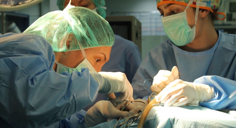 Uspješno operirana glavata želva – strogo zaštićena morska životinja Uspješno operirana glavata želva – strogo zaštićena morska životinja