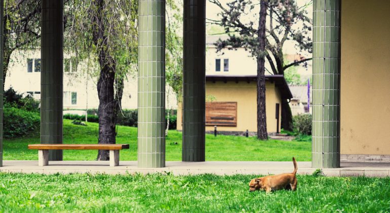 Obavijest nastavnicima i studentima – izvođenje nastave do 5. lipnja 2020. Obavijest nastavnicima i studentima – izvođenje nastave do 5. lipnja 2020.