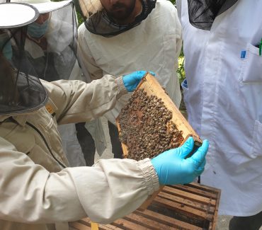 Radionica “Postavljanje sumnje na bolesti pčela i uzorkovanje na pčelinjaku”