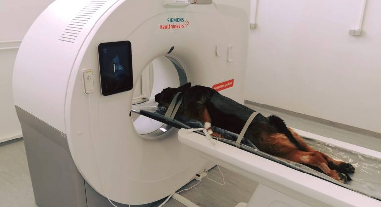 Nova, suvremena oprema (CT uređaj) Nova, suvremena oprema (CT uređaj)