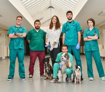 Zašto upisati Veterinu?