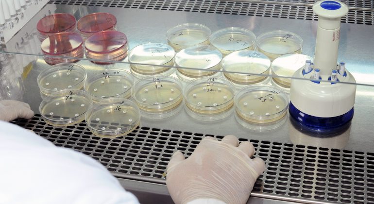 Online tečajevi Veterinarskoga fakulteta u veljači Online tečajevi Veterinarskoga fakulteta u veljači