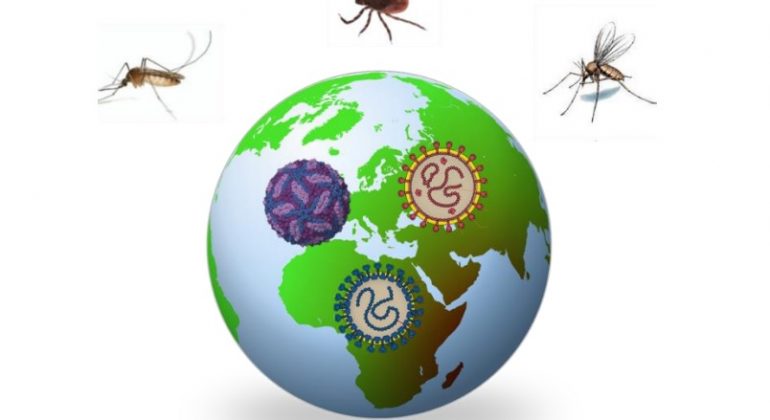 Simpozij Re(emergentni) arbovirusi u sjeni pandemije COVID-19 Simpozij Re(emergentni) arbovirusi u sjeni pandemije COVID-19