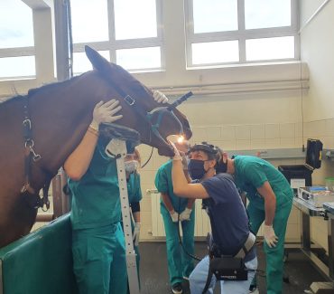 Nabavljena oprema za stomatologiju u sklopu HKO projekta