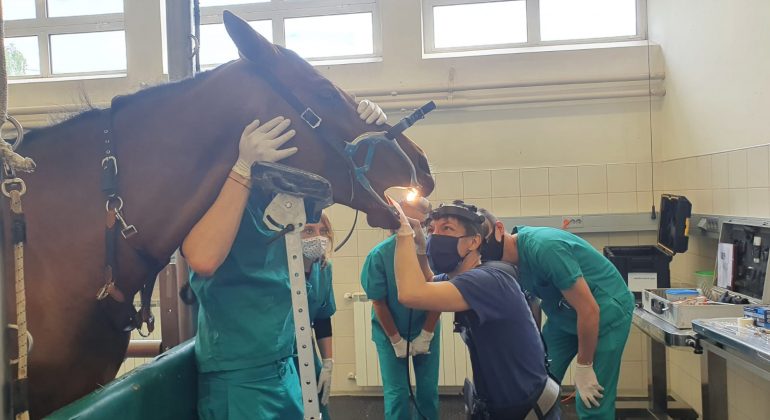 Nabavljena oprema za stomatologiju u sklopu HKO projekta Nabavljena oprema za stomatologiju u sklopu HKO projekta