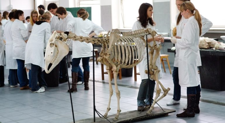 Dan studentske znanosti – 5. studenoga 2021. Dan studentske znanosti – 5. studenoga 2021.