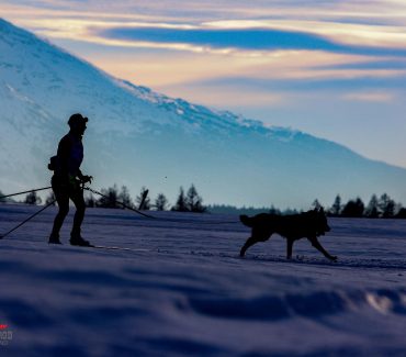 International sled dog race “Lekkarod”