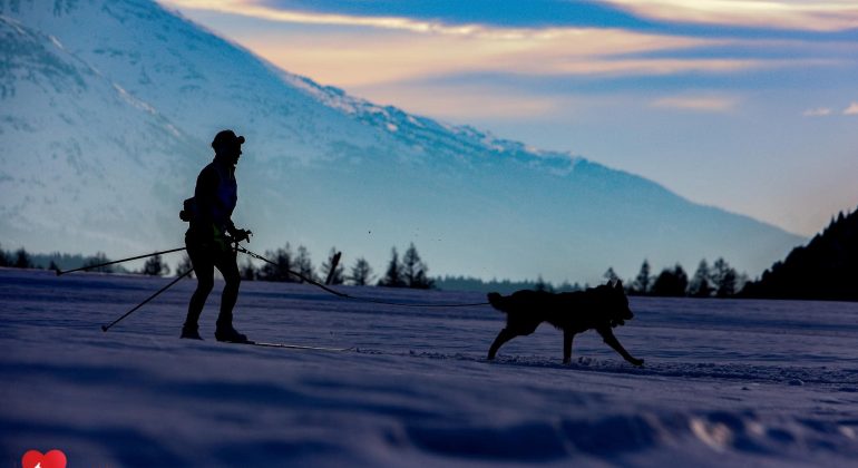 International sled dog race “Lekkarod”