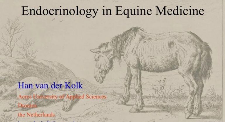 Poziv na predavanje ”Endocrinology in equine medicine”