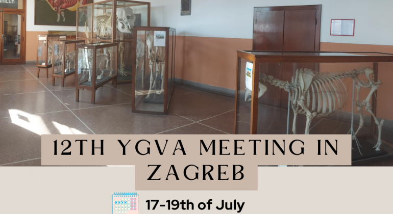 12th YGVA meeting at the Faculty of Veterinary Medicine in Zagreb (17-19th of July)