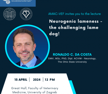 Invited lecture Ronaldo C. da Costa, DMV, MSc, PhD, Dipl. ACVIM – Neurology