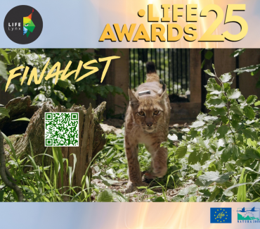 Published list of nominees for the LIFE Award 2025.