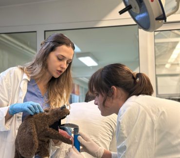 Edukativna radionica „Od volontera do doktora veterinarske medicine“