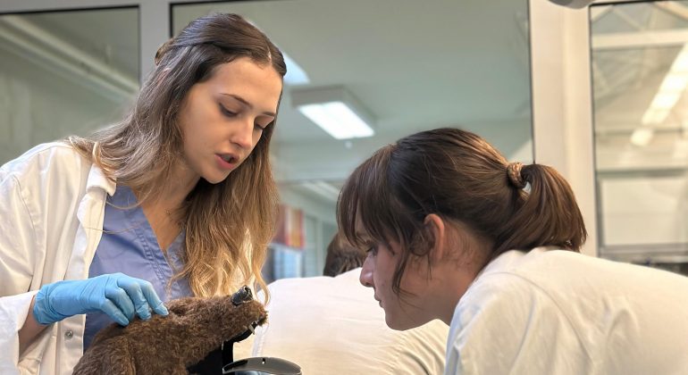 Edukativna radionica „Od volontera do doktora veterinarske medicine“ Edukativna radionica „Od volontera do doktora veterinarske medicine“