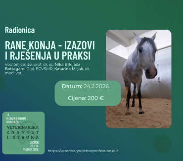 Rane konja – izazovi i rješenja u praksi