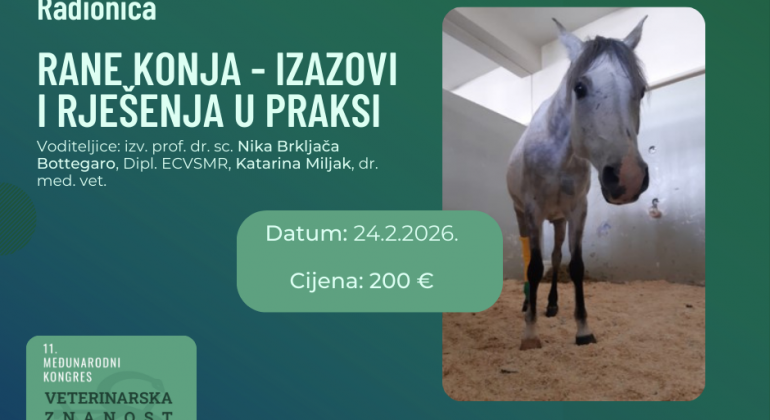 Rane konja – izazovi i rješenja u praksi