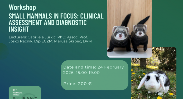 Mali sisavci u fokusu: klinička procjena i dijagnostika Mali sisavci u fokusu: klinička procjena i dijagnostika