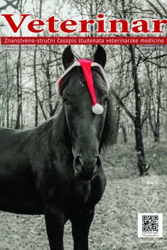 Veterinar br. 63 (2)