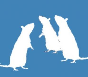 Najava održavanja tečaja za osposobljavanje osoba koje rade s pokusnim životinjama