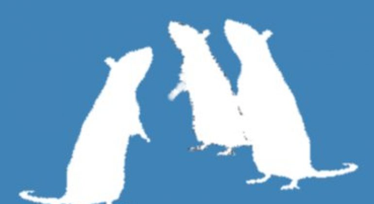 Najava održavanja tečaja za osposobljavanje osoba koje rade s pokusnim životinjama