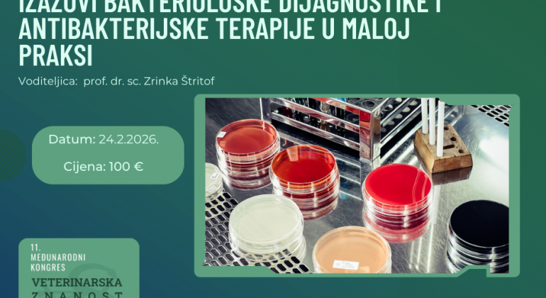Izazovi bakteriološke dijagnostike i antibakterijske terapije u maloj praksi