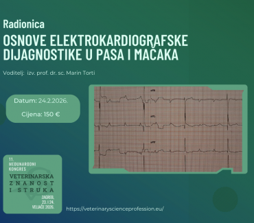 Osnove elektrokardiografske dijagnostike u pasa i mačaka