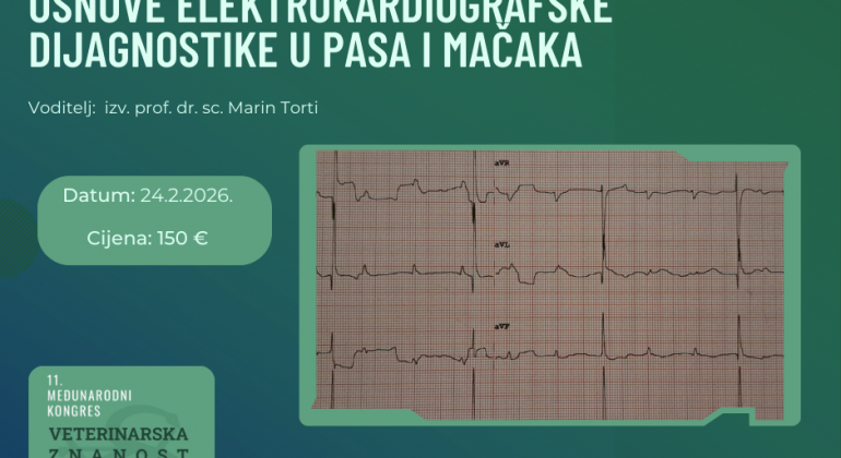 Osnove elektrokardiografske dijagnostike u pasa i mačaka