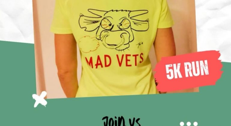 VZSRun – rekreativno trčanje u sklopu kongresa