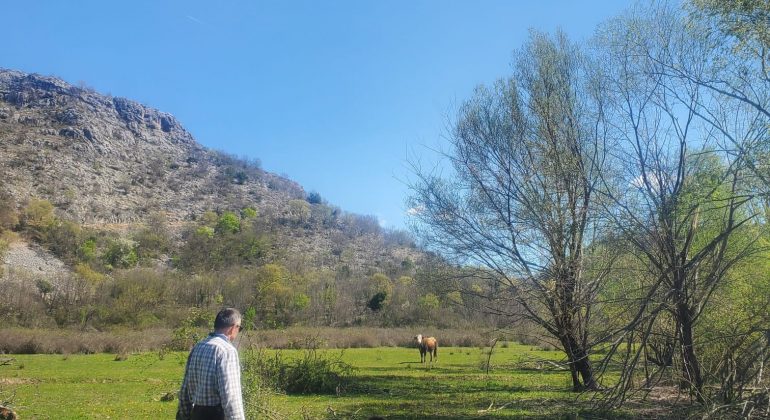 Posljednja terenska sezona projekta Life Wild Wolf