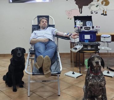 Dobrovoljno darivanje krvi na Veterinarskome fakultetu