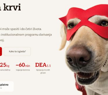 Banka krvi VEF, novi program darivanja krvi za pse Banka krvi VEF, novi program darivanja krvi za pse