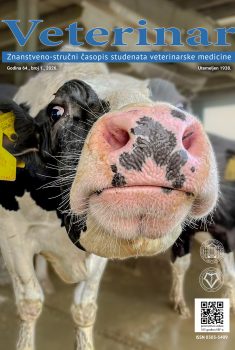 Veterinar br. 64 (1)