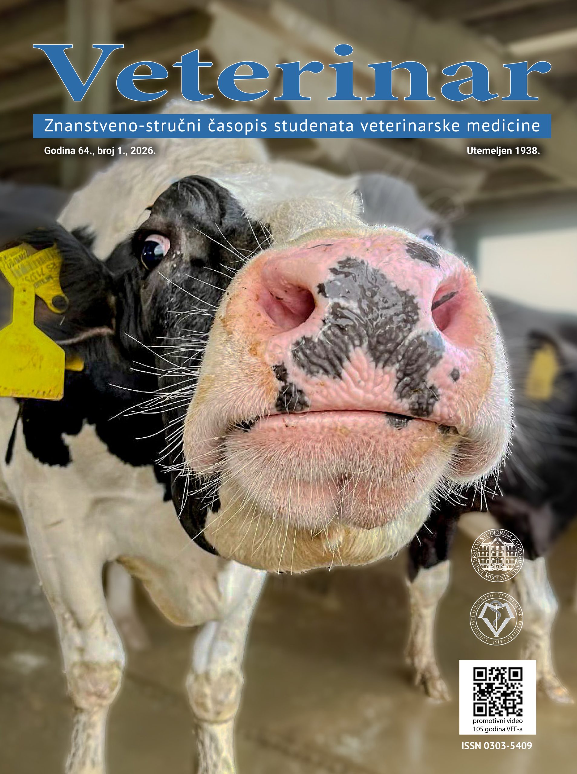 Veterinar br. 64 (1)