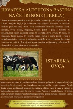 Veterinar br. 64 (1) – DODATAK – HRVATSKA AUTOHTONA BAŠTINA NA ČETIRI  NOGE (I KRILA)