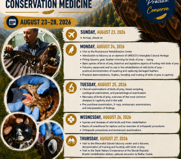 CEEPUS Summer School Falconry and Birds of Prey – Rehabilitation and Conservation Medicine CEEPUS Summer School Falconry and Birds of Prey – Rehabilitation and Conservation Medicine