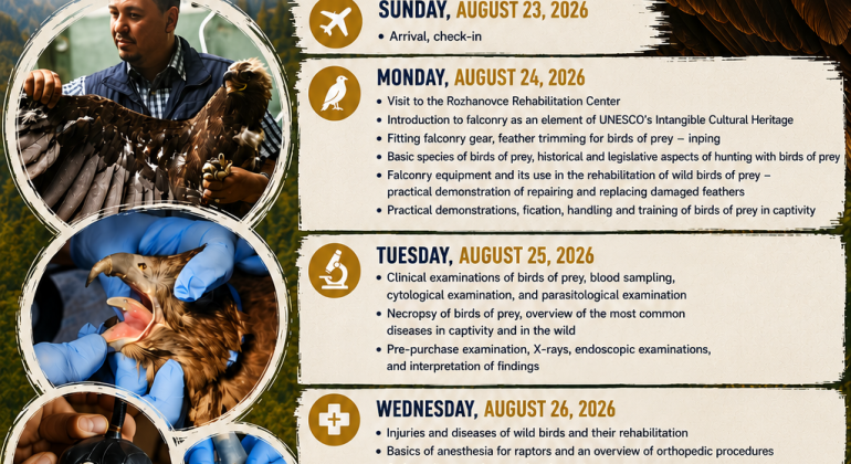 CEEPUS Summer School Falconry and Birds of Prey – Rehabilitation and Conservation Medicine