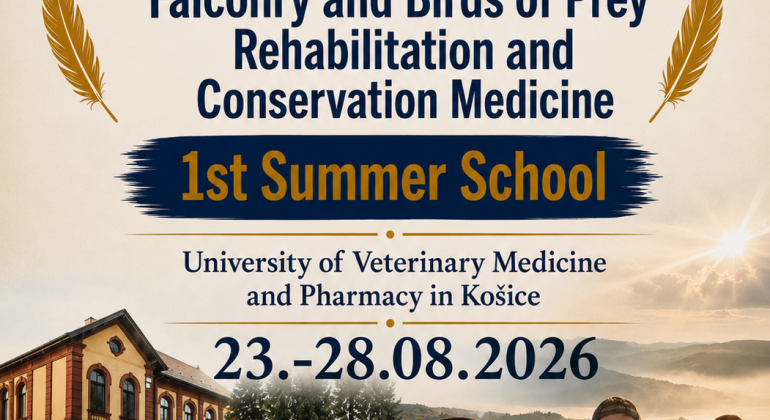 CEEPUS Summer School Falconry and Birds of Prey – Rehabilitation and Conservation Medicine